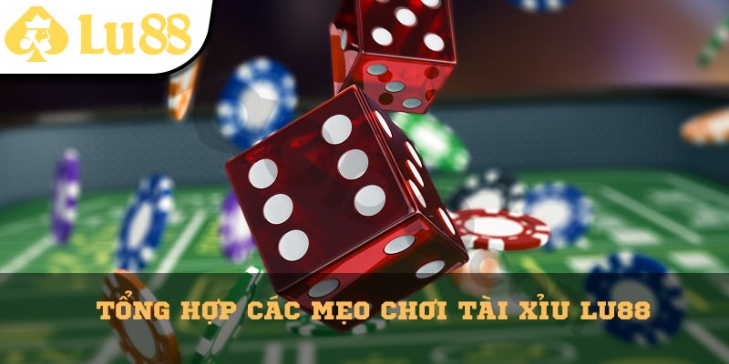 Tổng hợp các mẹo chơi tài xỉu từ chuyên gia