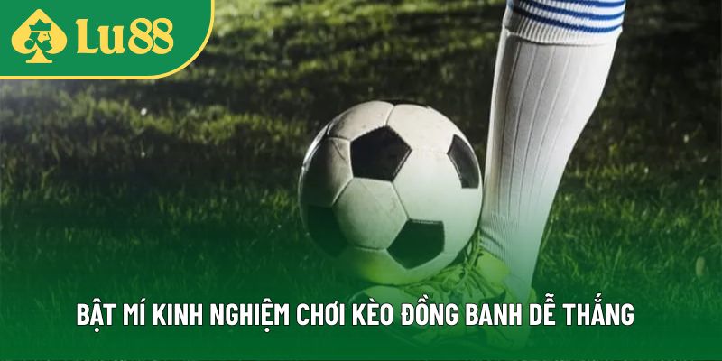 Kinh nghiệm chơi kèo đồng banh LU88